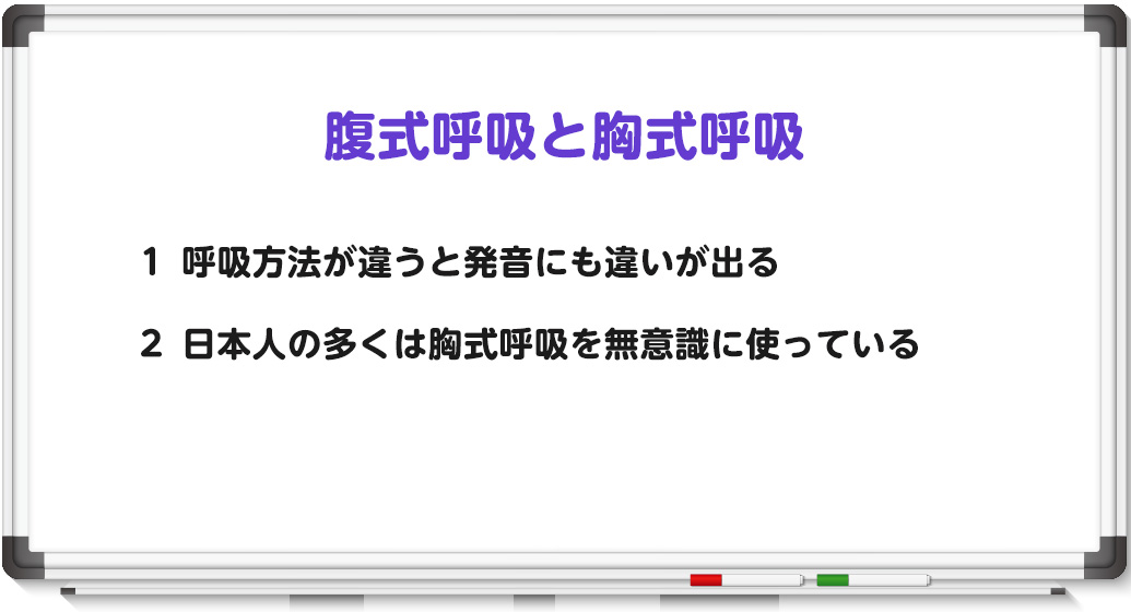 英語発音で重要な腹式呼吸と胸式呼吸