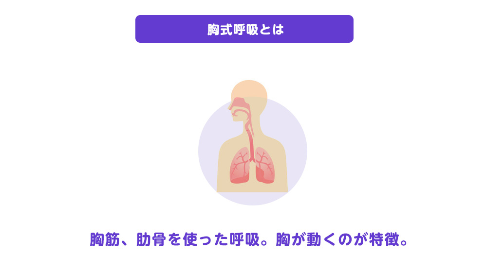 日本人に多い胸式呼吸