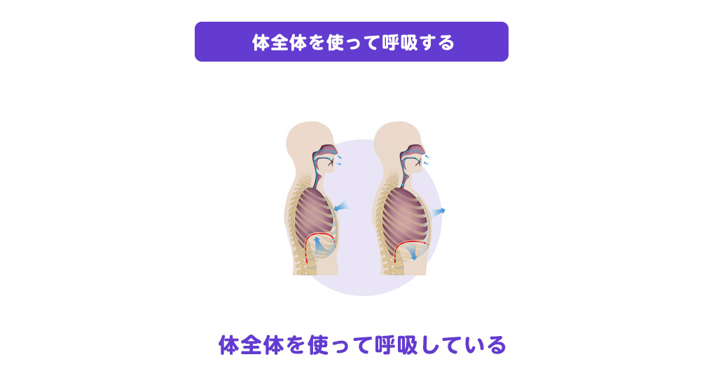 体全体を使う呼吸が腹式呼吸